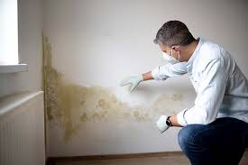 Why You Should Choose Our Mold Remediation Services in Mount Holly Springs, PA